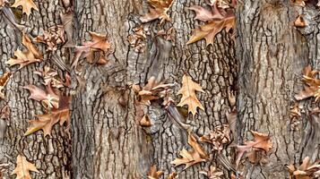 Oak leaves and bark texture fabric photo