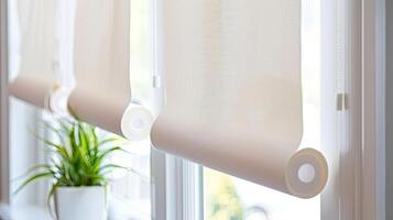 A window with blinds and a plant in it photo