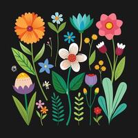 Spring flower collection vector
