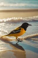 A vibrant yellow and black bird stands on the beach, reflecting sunlight on the water's edge. photo