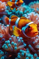 A vibrant underwater scene featuring clownfish among colorful coral. photo