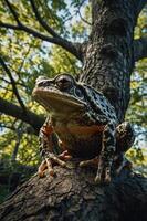 A close-up of a frog perched on a tree trunk, surrounded by lush greenery. photo
