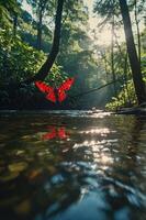 A serene forest scene with a butterfly reflection in a tranquil stream. photo