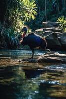 A cassowary stands on a rock by a serene river in a lush, tropical environment. photo