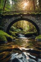 A serene stone bridge over a tranquil stream in a lush, green forest. photo