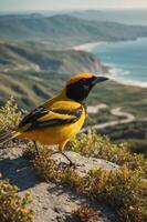 A vibrant yellow bird perched on a rock, overlooking a scenic landscape. photo