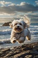 A joyful dog leaps along the shore, capturing the essence of playfulness by the ocean. photo