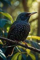 A vibrant bird perched on a branch, showcasing its iridescent feathers in a natural setting. photo