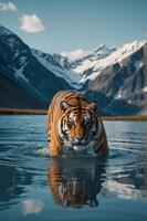 A tiger wades through a serene lake surrounded by majestic mountains and clear blue skies. photo