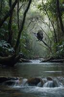 A bird in flight over a serene jungle stream surrounded by lush vegetation. photo