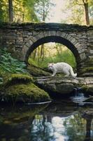 A white cat walks across a stone bridge in a serene forest setting. photo