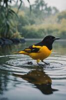 A vibrant bird standing in shallow water, creating ripples in a serene natural setting. photo