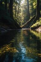 A serene forest scene with a tranquil stream and sunlight filtering through tall trees. photo