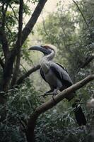 A majestic bird perched on a branch in a lush forest. photo