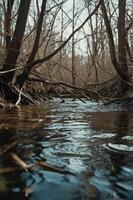 A serene river scene surrounded by bare trees, reflecting a tranquil natural environment. photo