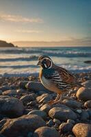 A colorful bird stands on a rocky beach with waves and a sunset in the background. photo