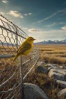 A vibrant yellow bird perched on a fence in a scenic landscape with mountains in the background. photo