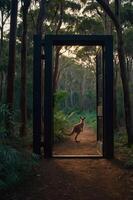 A kangaroo stands at the threshold of a door in a serene forest setting. photo