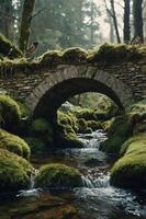 A serene stone bridge arches over a mossy stream in a lush forest setting. photo