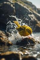 A vibrant yellow bird splashes in water, creating dynamic ripples against a rocky backdrop. photo