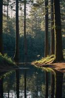Serene forest scene with tall trees reflecting in calm water, creating a peaceful atmosphere. photo