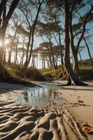 A serene beach scene with trees, sand patterns, and sunlight reflecting on water. photo