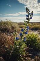 A tall blue flower stands prominently in a desert landscape under a cloudy sky. photo