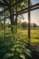 A sunlit view through a frame with lush greenery in a serene landscape. photo