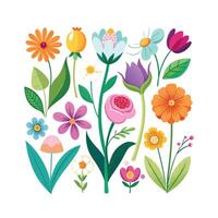 Spring flower collection vector