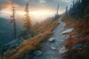 A Winding Mountain Trail Through a Misty Forest at Sunset photo