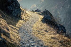 Winding Path on a Rocky Mountain Ridge photo