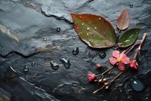 Wet Leaf and Flowers on Black Slate photo