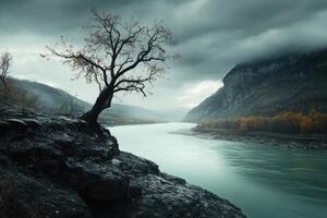 A solitary tree stands on a rocky cliff overlooking a river winding through mountains under a cloudy sky photo