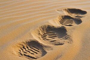Footprints in the Sand, a Trail of Steps photo