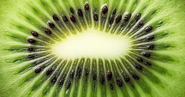 Kiwi Slice on white Background video