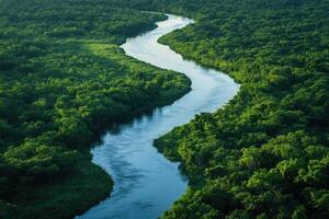 Aerial View of a Serpentine River Flowing Through Lush Green Forested Landscape photo