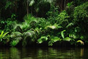 Lush Tropical Rainforest Bordering a Still River photo