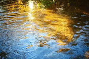 Golden Sunlight Reflecting on Rippling Water photo