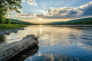 A Sunlit River with Driftwood and Cloudy Sky photo