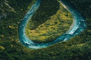 An Aerial View of a River Winding Through a Lush Green Forest photo