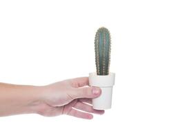 man holding a cactus in his hand on a white background, isolate. Close-up photo