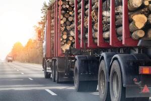 A timber semi-trailer truck transports timber logs along an asphalt road against a spring sunset background. Logging, copy space for text, industry photo