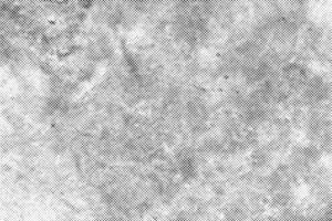 Abstract grunge halftone texture black dost on white background. vector