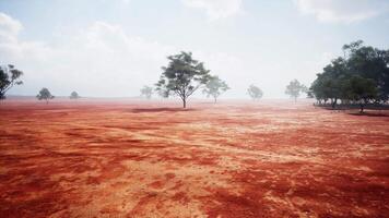 A serene landscape with trees in the distance video