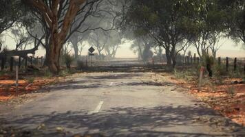 An idyllic country road lined with trees and a rustic fence video