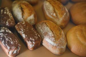 Freshly baked sourdough bread with a golden crust on bakery shelves. Baker shop context with delicious bread photo