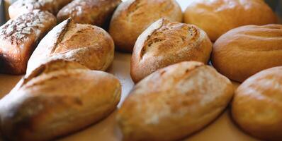 Freshly baked sourdough bread with a golden crust on bakery shelves. Baker shop context with delicious bread photo