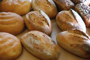 Freshly baked bread on bakery shelves. Bread diversity in bright light. Breads with a golden crust on wooden shelves photo