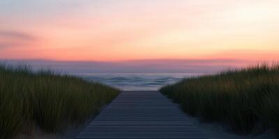 Pathway through grass leads to serene beach at sunset photo