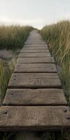 Wooden pathway through grasslands towards the horizon photo